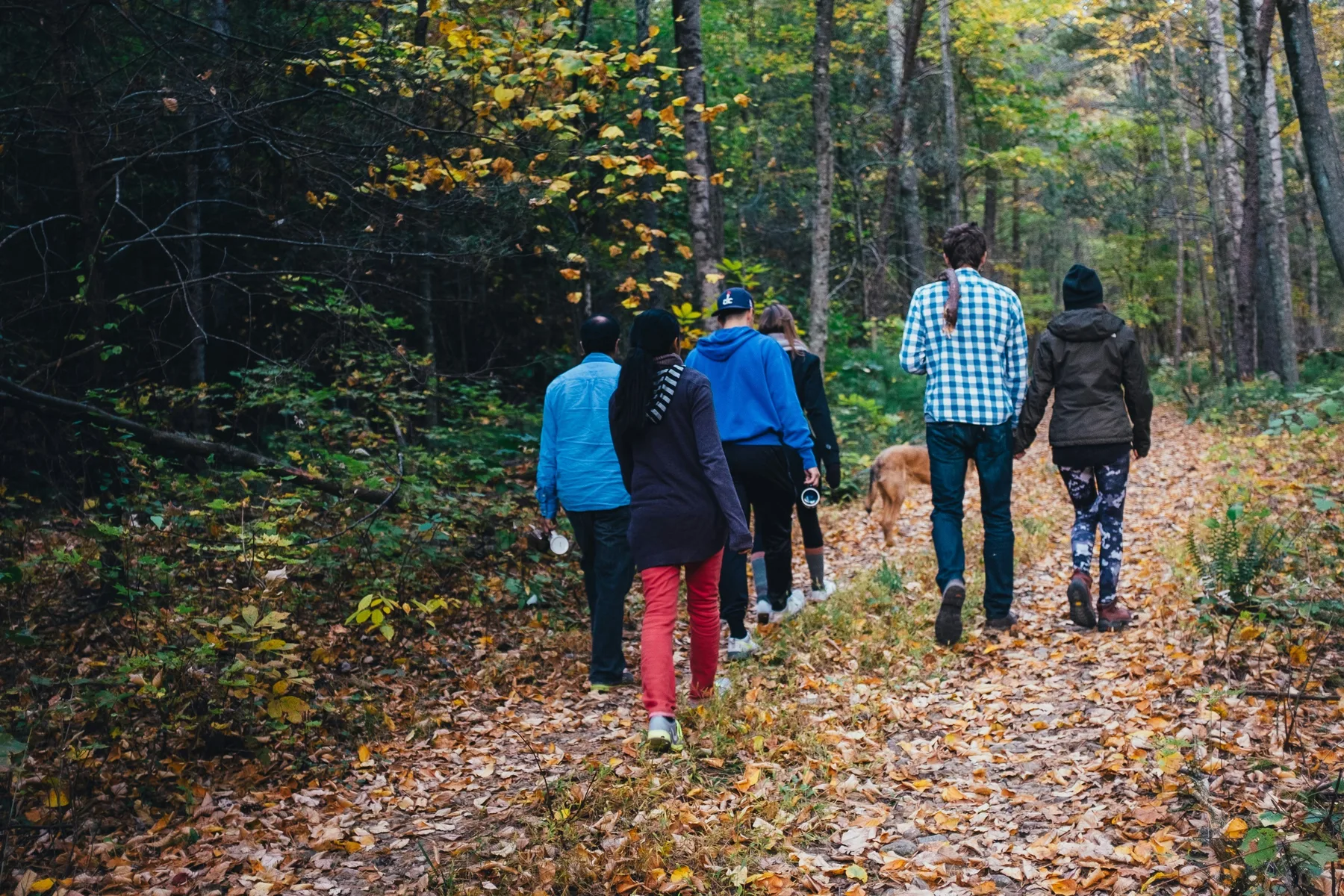 Adults enjoying relaxed outdoor activity together in an everyday setting